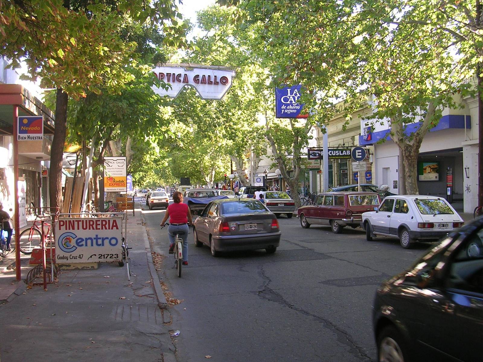 Calle arbolada del centro de San Rafael